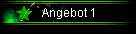 Angebot 1
